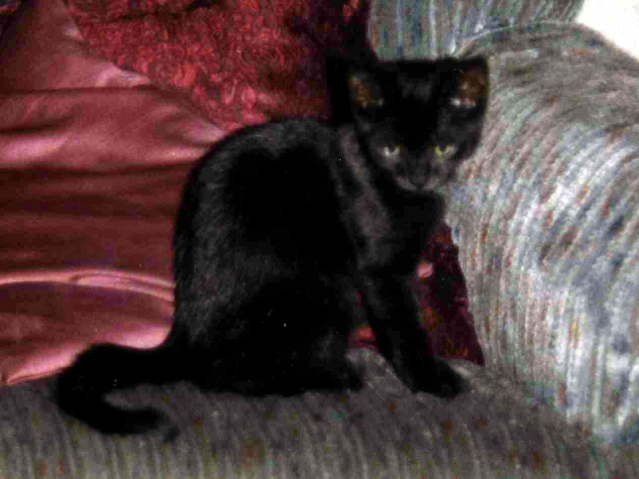 sweety2.jpg
